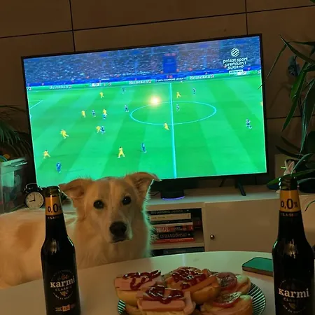 Aerom Apartment Gdynia